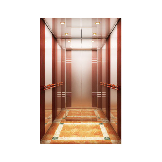 High Speed 630 To 1150kg Residential Passenger Hoist Lift 2.5m/S