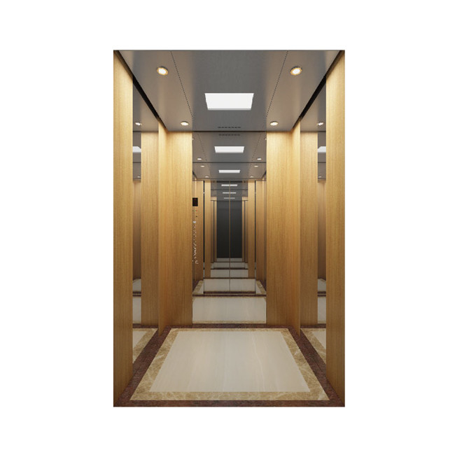 Hairline Hotels Shopping Mall Elevator Passenger Platform Lift 1m/S